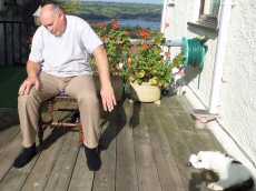 Exercise in a Chair